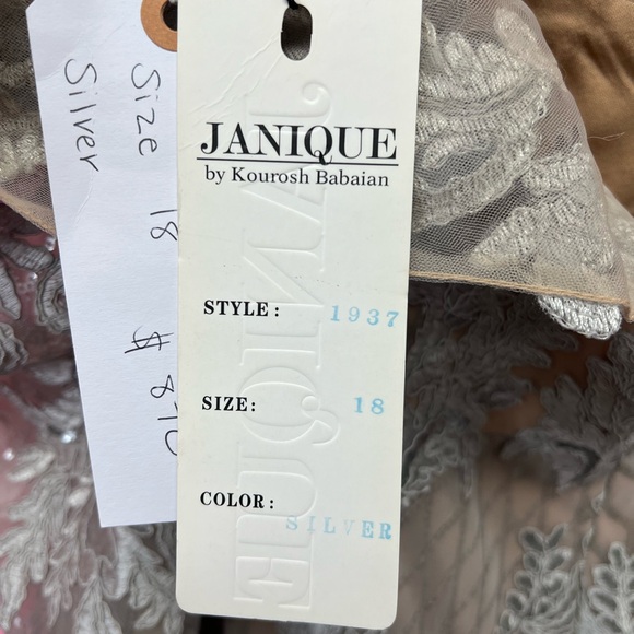 NWT Janique 1937 size 18 silver/nude long sleeve lace long dress - Picture 5 of 6